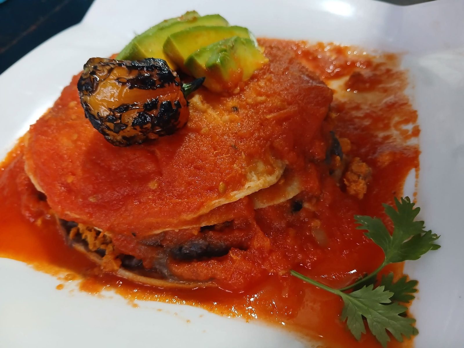 Pan de cazón: tortillas en capas con frijol negro y cazón, salsa de jitomate, aguacate y chile asado